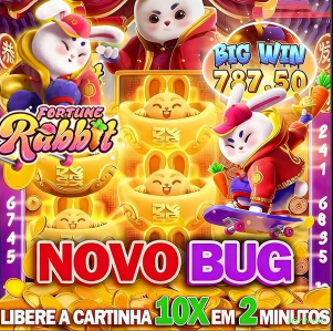 Suporte winhugo